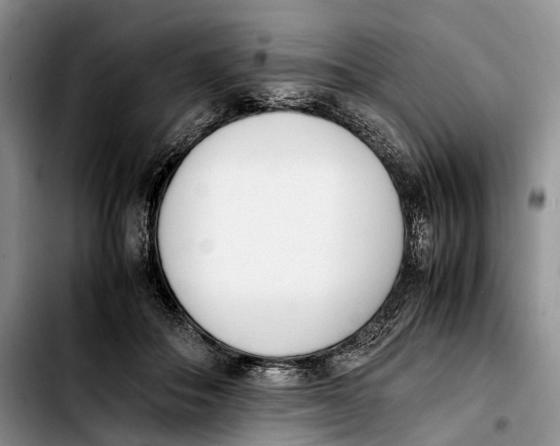 X0000103940506200810101419