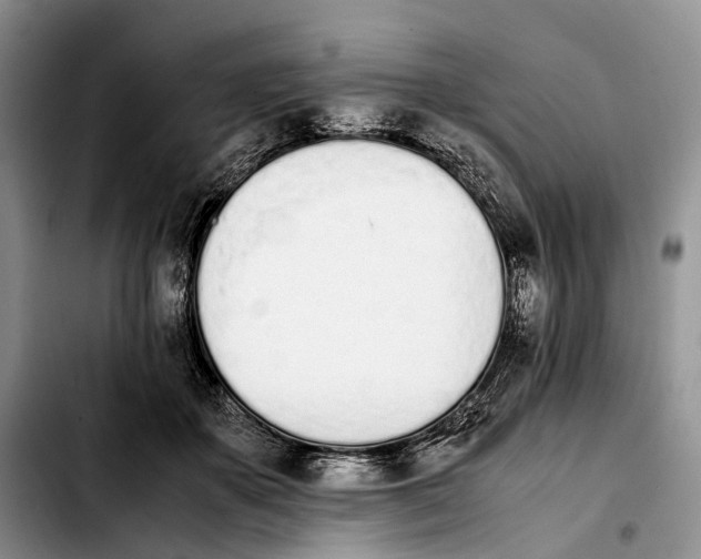 X0000103940507200810101419