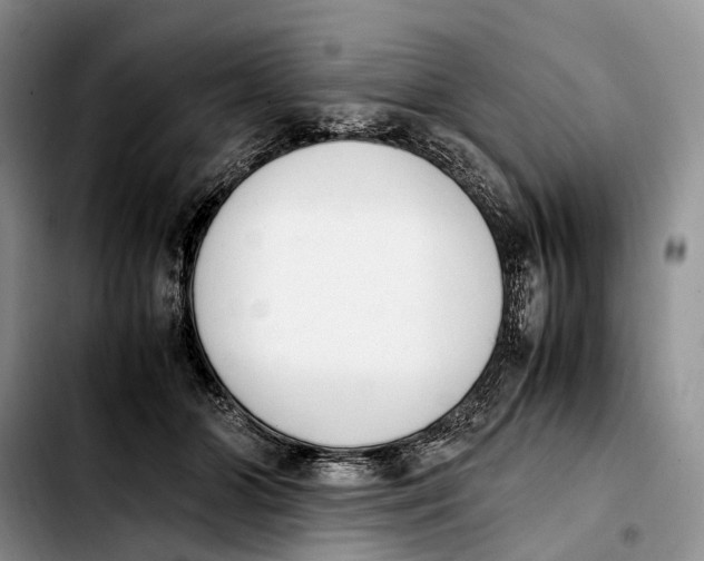 X0000103940510200810101419