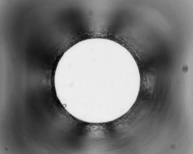 X0000103940512200810101419