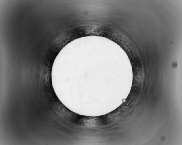 X0000103940513200810101419