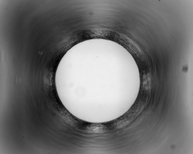 X0000103940514200810101419