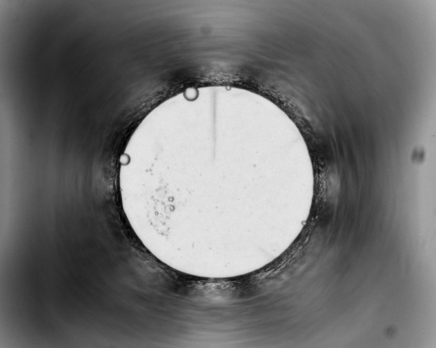 X0000103940517200810101419