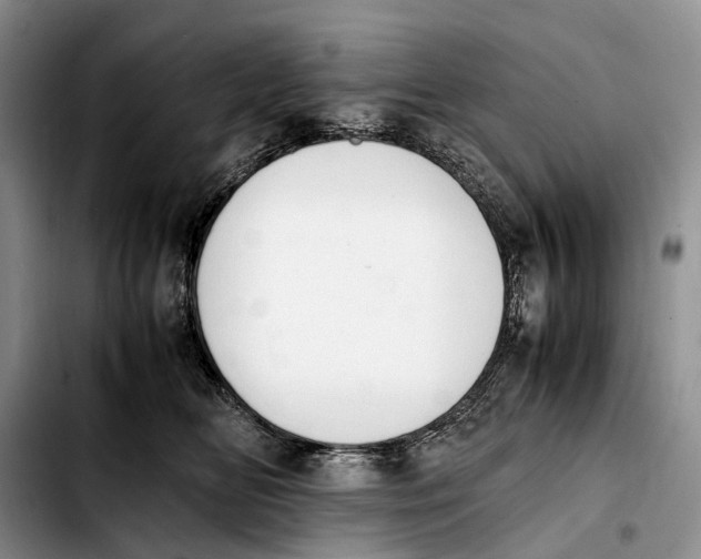 X0000103940518200810101419