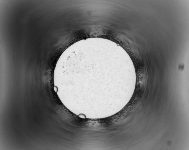 X0000103940519200810101419