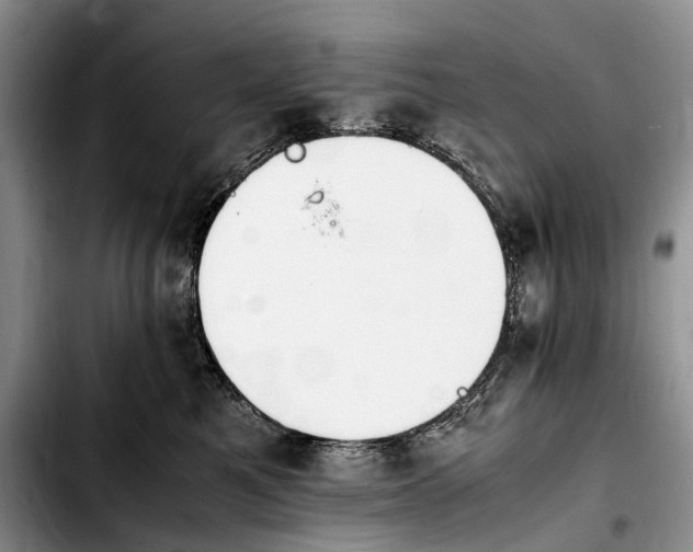 X0000103940521200810101419