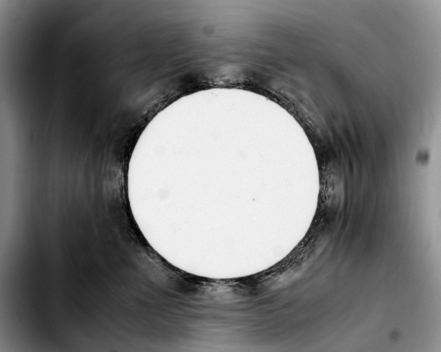 X0000103940523200810101419