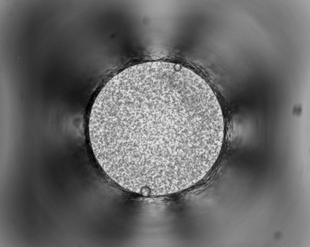 X0000103940524200810101419