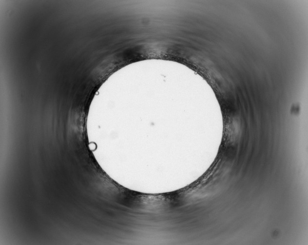 X0000103940525200810101419