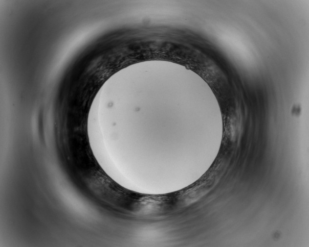 X0000103940526200810101419