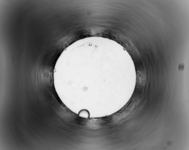 X0000103940527200810101419