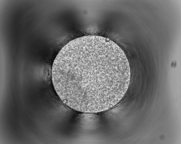 X0000103940528200810101419