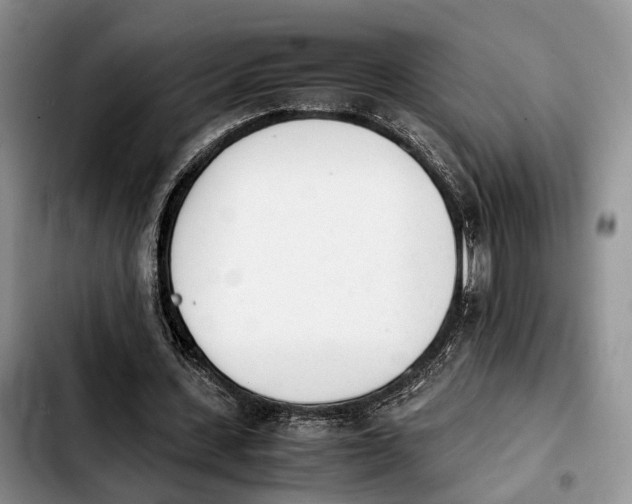 X0000103940531200810101418