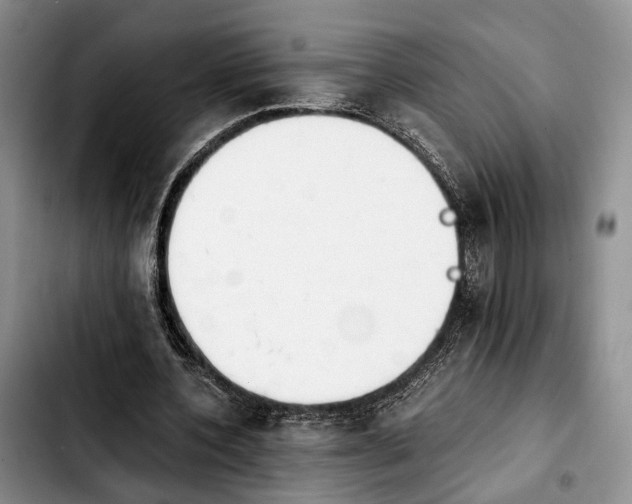 X0000103940532200810101418