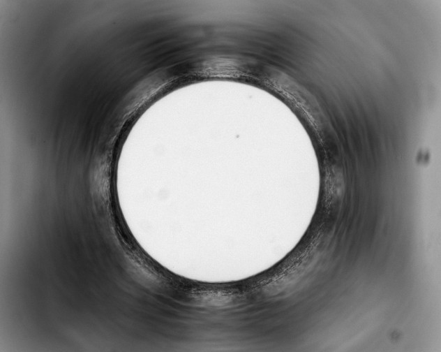 X0000103940533200810101418