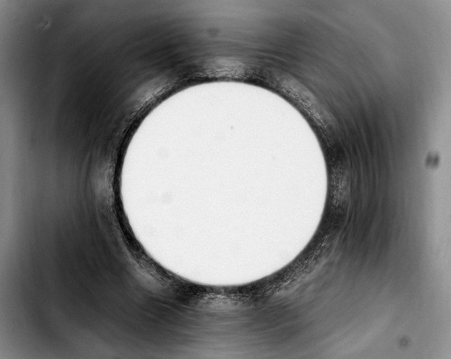 X0000103940538200810101418