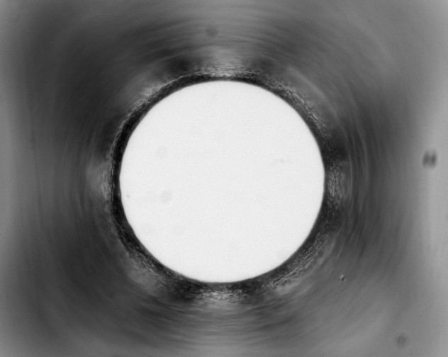 X0000103940540200810101418