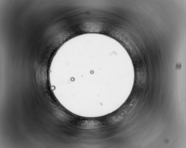 X0000103940541200810101418