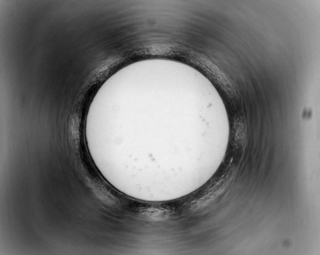 X0000103940542200810101418