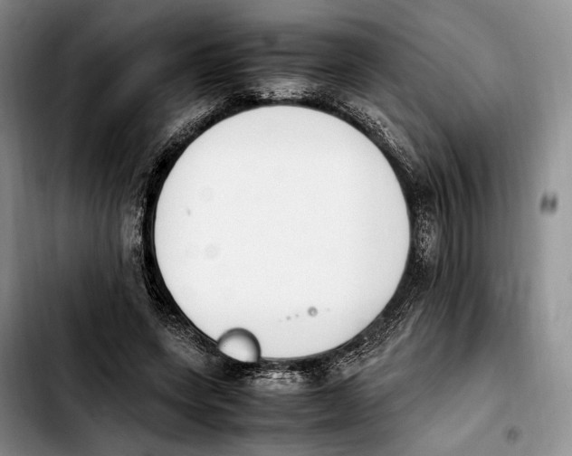 X0000103940543200810101418