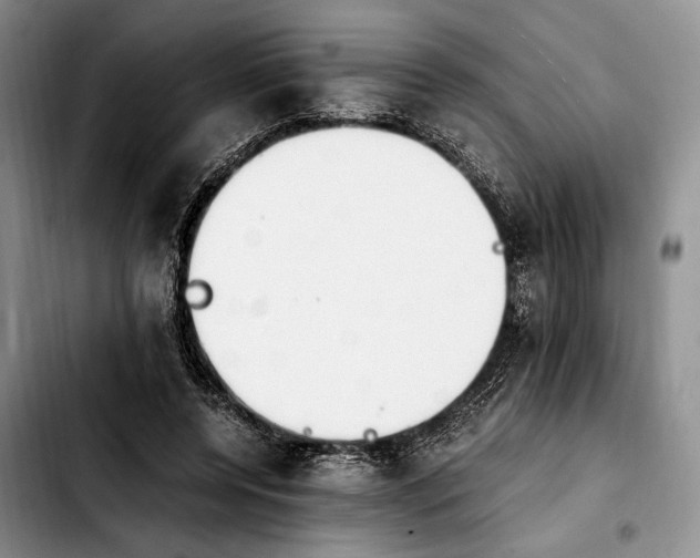 X0000103940544200810101418