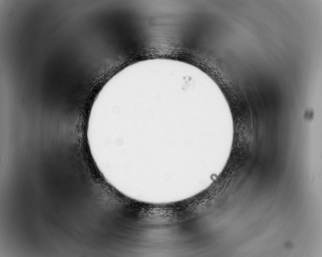 X0000103940546200810101418