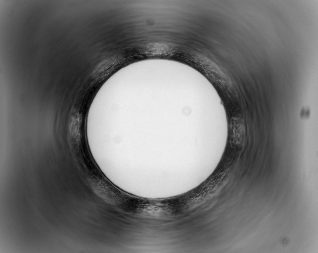 X0000103940550200810101418