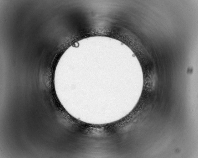 X0000103940552200810101418