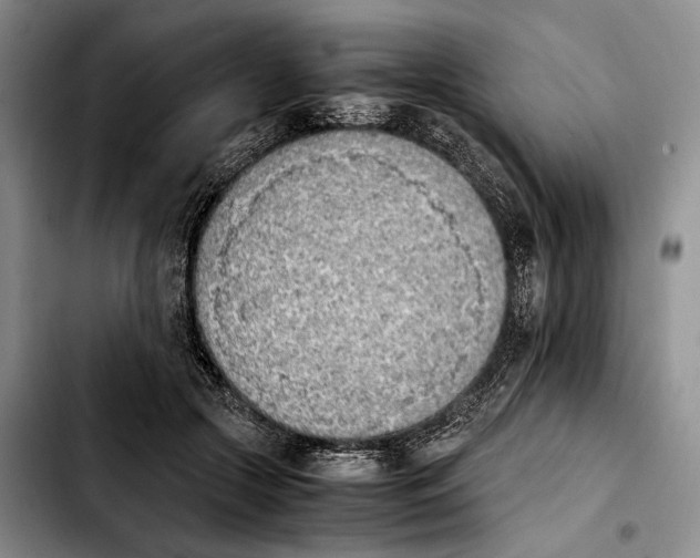 X0000103940553200810101418