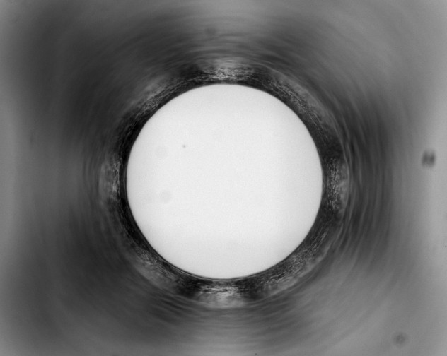 X0000103940554200810101418