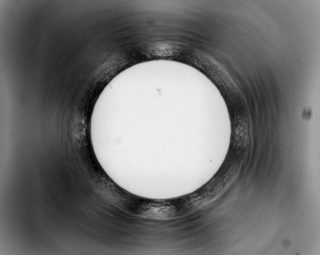 X0000103940555200810101418