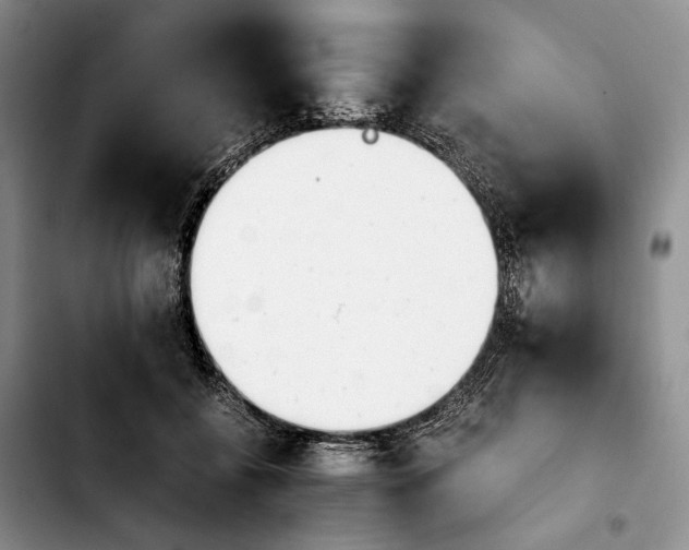 X0000103940556200810101418