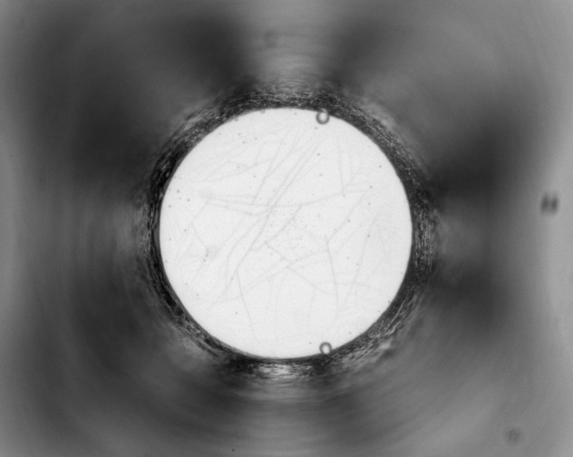 X0000103940558200810101418