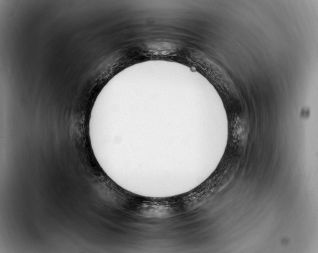 X0000103940559200810101418