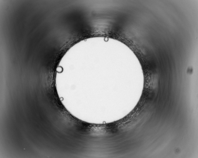 X0000103940560200810101418