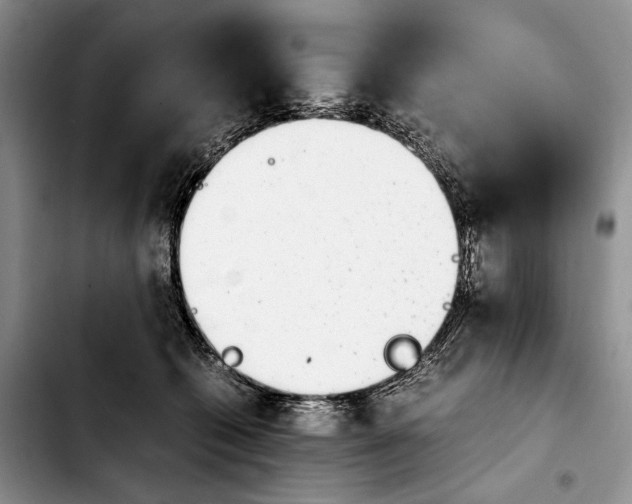 X0000103940562200810101418