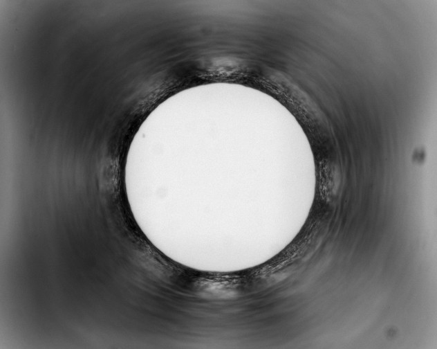 X0000103940563200810101418