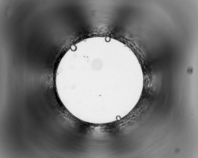 X0000103940564200810101418