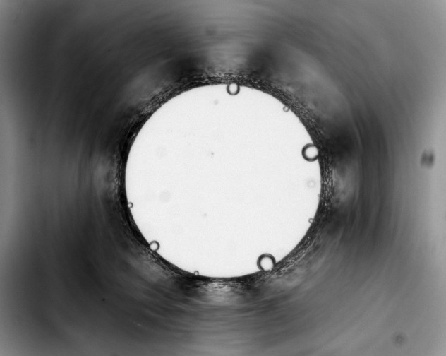 X0000103940566200810101419