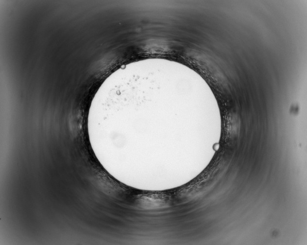 X0000103940567200810101419