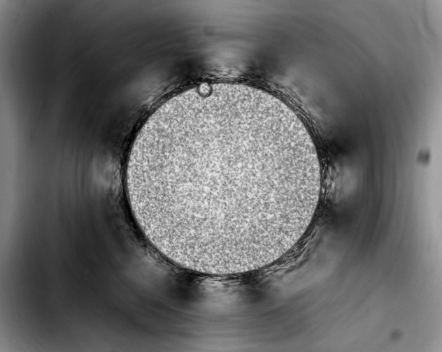 X0000103940568200810101419