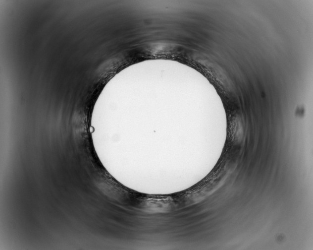 X0000103940571200810101419