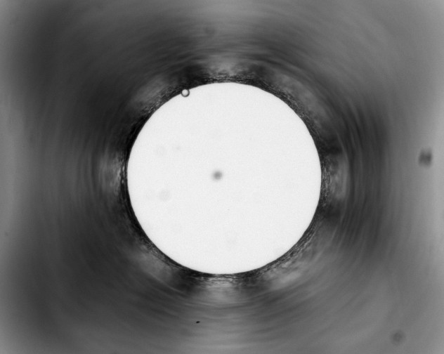 X0000103940574200810101419