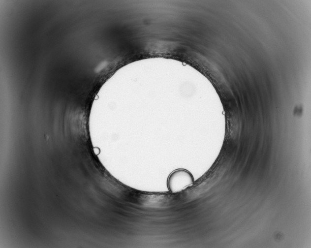 X0000103940575200810101419