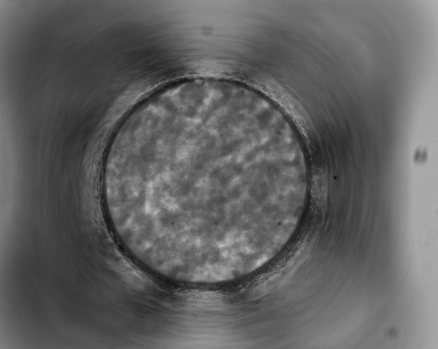 X0000103940577200810101418