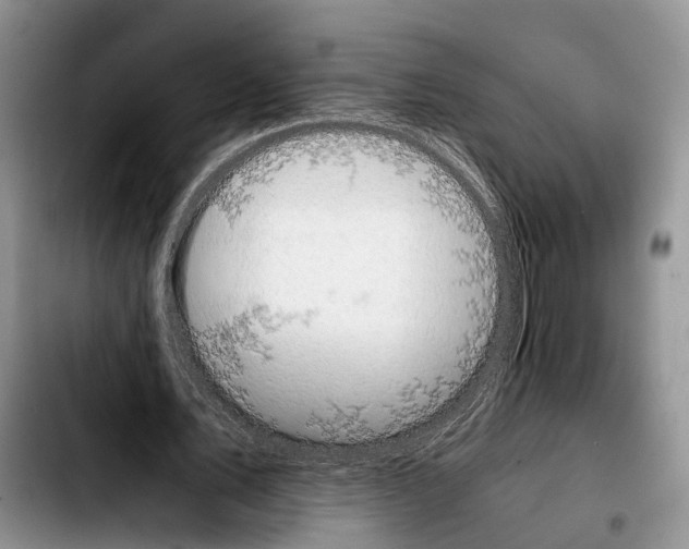 X0000103940579200810101418