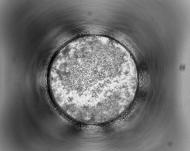 X0000103940581200810101418