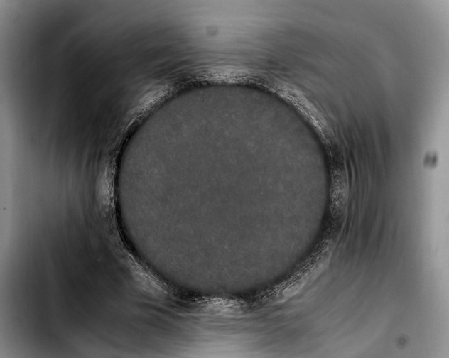 X0000103940585200810101418