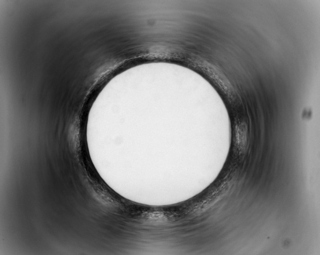 X0000103940588200810101418