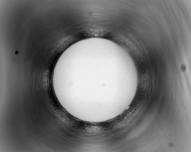 X0000103940594200810101418